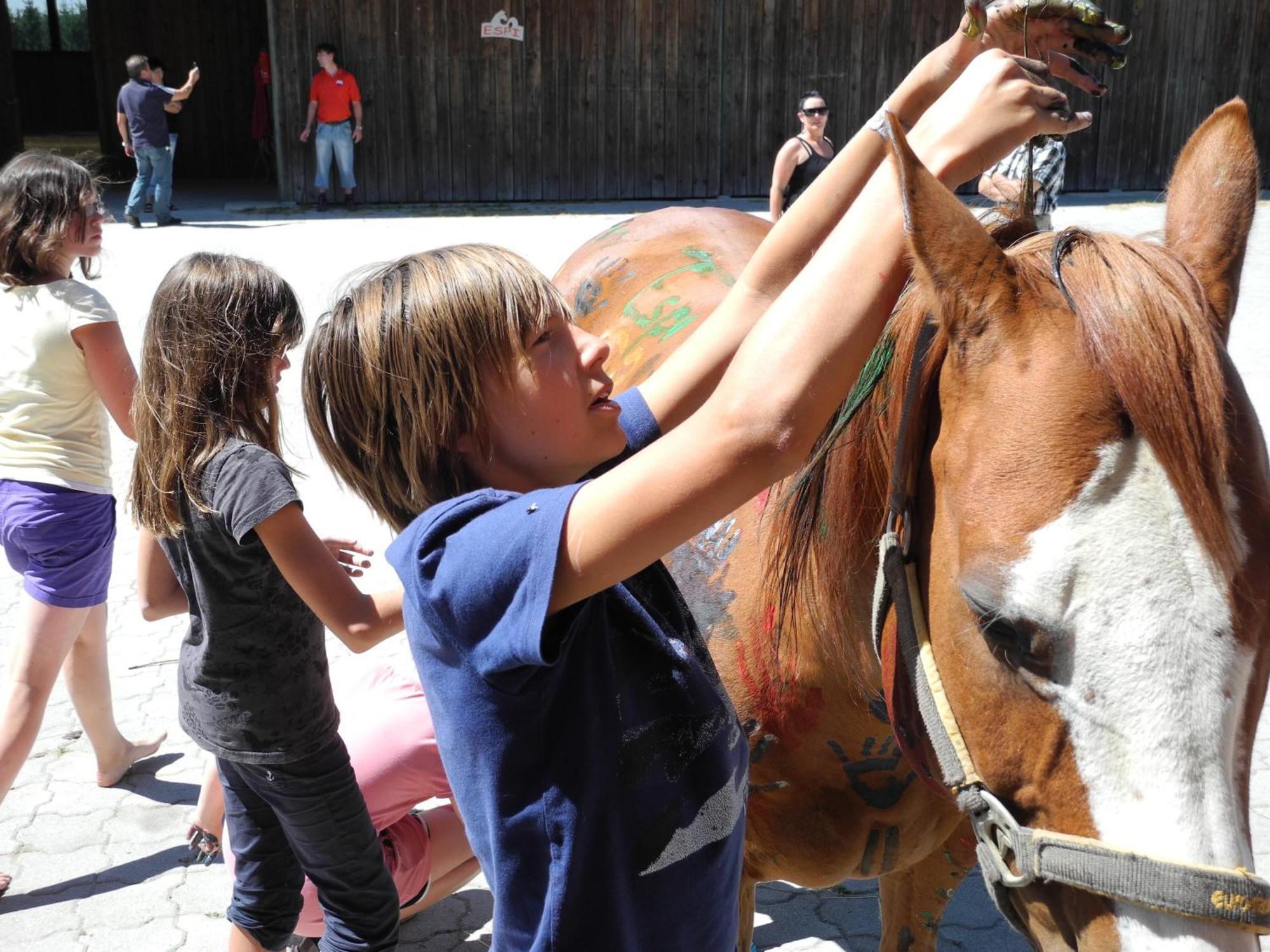 Espi-Stables Ferienhof Esterhammer Liebenau  Bagian luar foto
