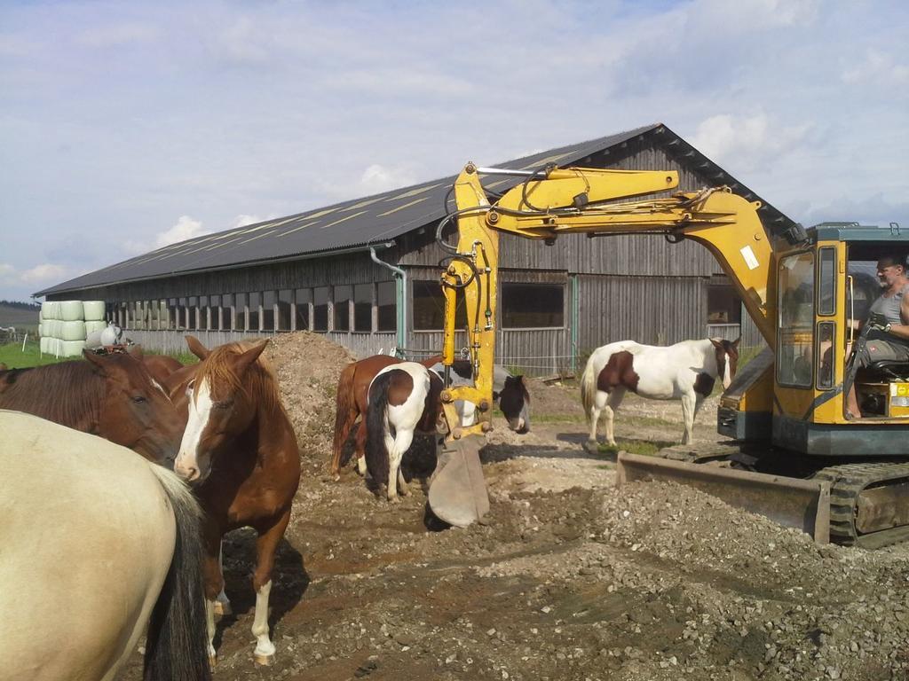Espi-Stables Ferienhof Esterhammer Liebenau  Bagian luar foto