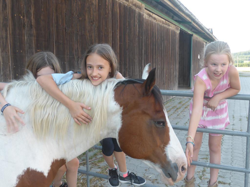 Espi-Stables Ferienhof Esterhammer Liebenau  Bagian luar foto