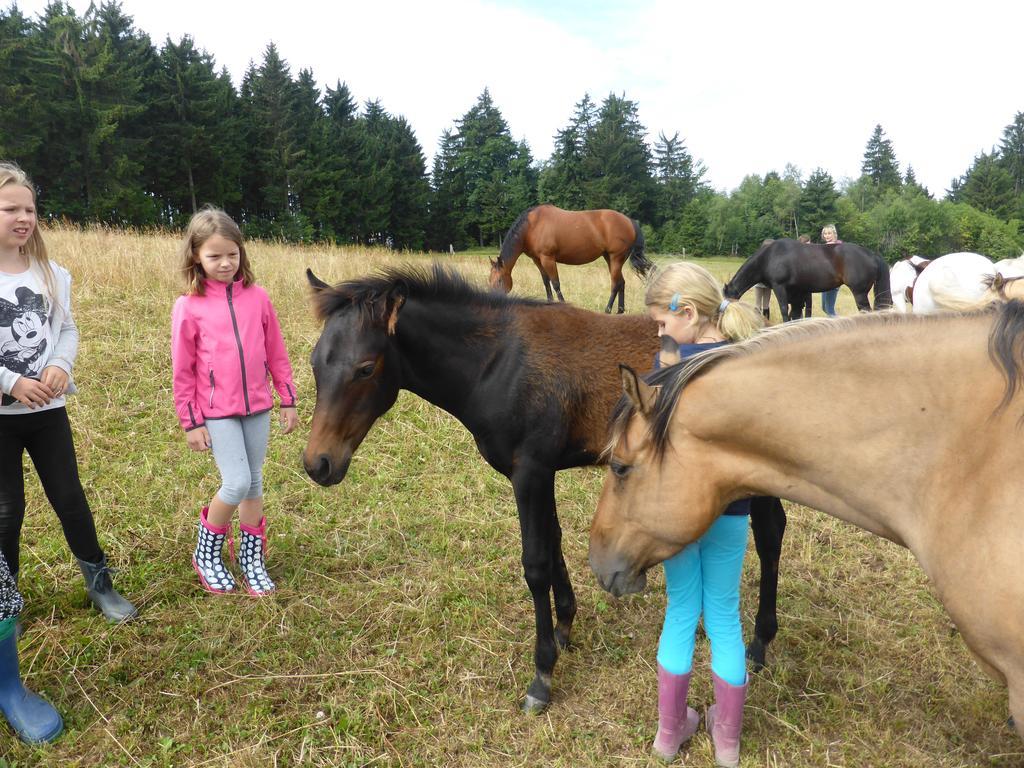 Espi-Stables Ferienhof Esterhammer Liebenau  Ruang foto