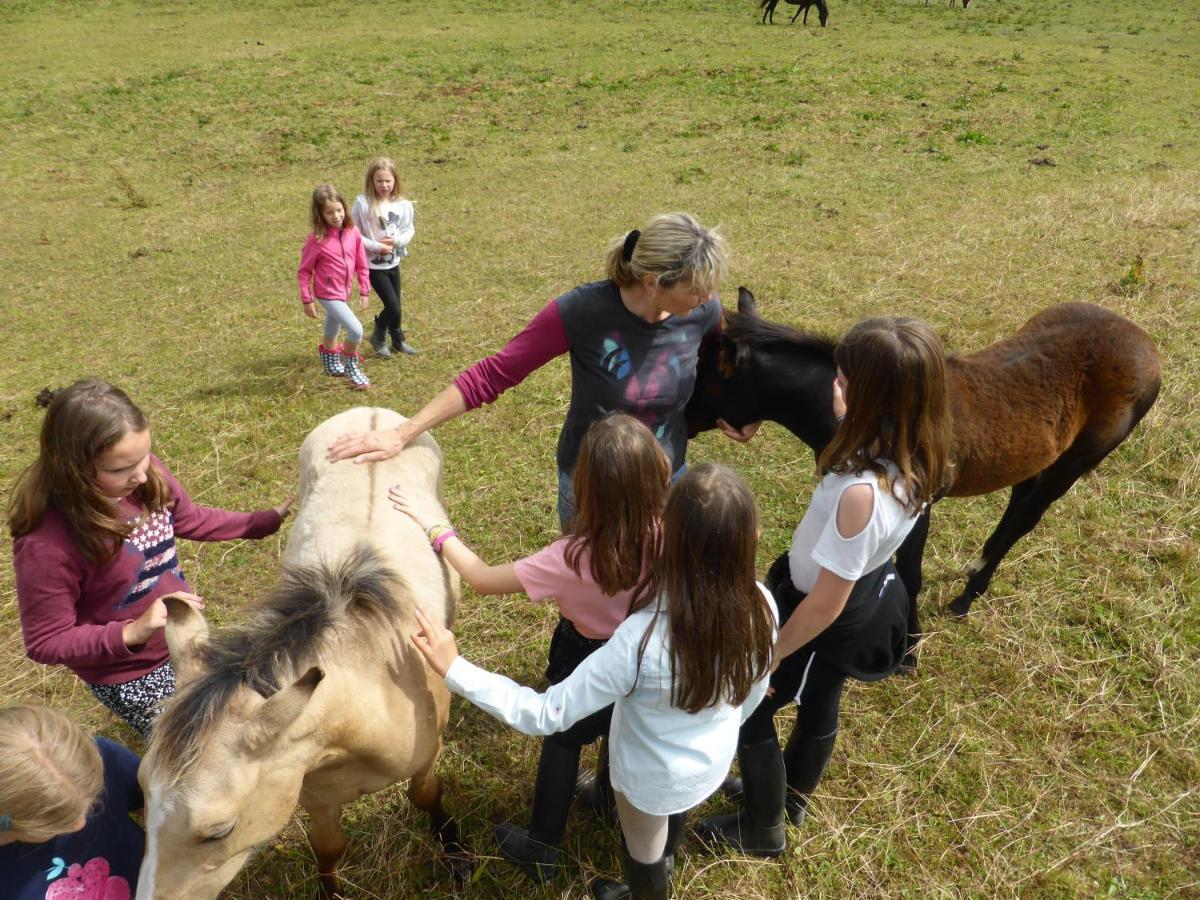 Espi-Stables Ferienhof Esterhammer Liebenau  Bagian luar foto