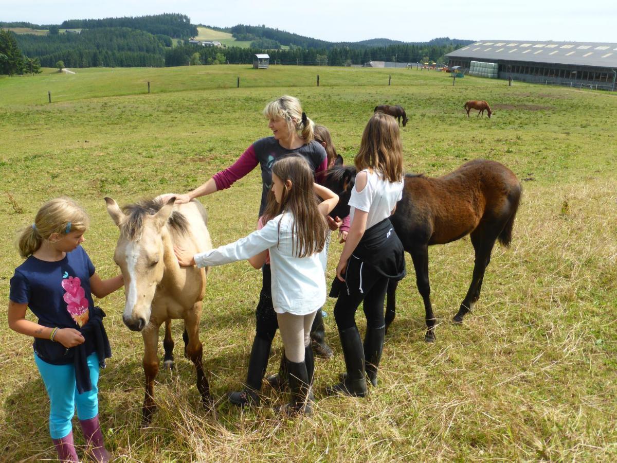 Espi-Stables Ferienhof Esterhammer Liebenau  Bagian luar foto